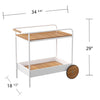 Randburg Outdoor Bar Cart w/ Storage - bar cart at an angle with measurements 