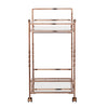 Ivers Metal Mirrored Bar Cart - Champagne - bar cart side view 